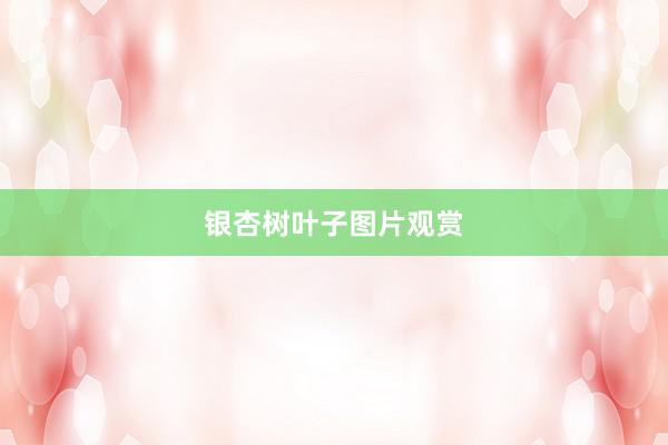 银杏树叶子图片观赏