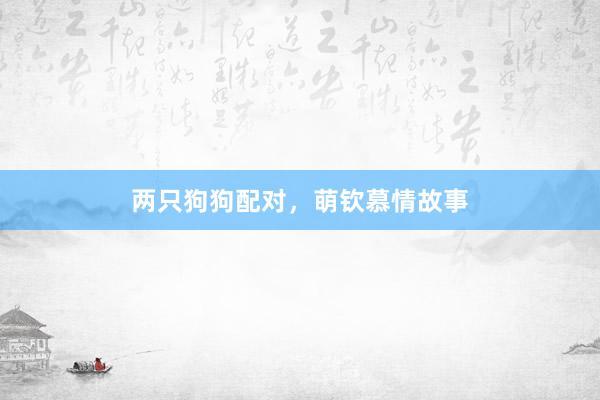 两只狗狗配对，萌钦慕情故事
